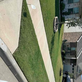 yard maintenance by Jack of all Trades Multiservices reviewed on August 16, 2025