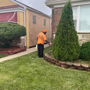 Flower Bed Weeding by Elite Lawn Care LLC reviewed on August 19, 2026