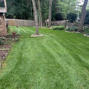 grass cutting by Frederickson Lawn Management reviewed on August 17, 2025