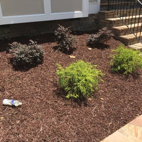 Bush Trimming by T.R. Integrated Services reviewed on August 14, 2025