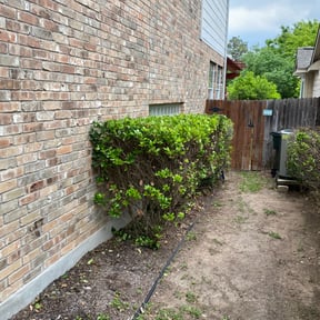 Bush Trimming by A & S Contractor LLC reviewed on August 17, 2025