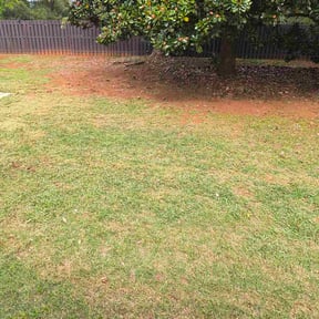 Leaf Removal by Brown's grounds reviewed on October 24, 2025