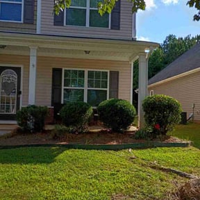 grass maintenance by D&amp;D All In One reviewed on September 30, 2023