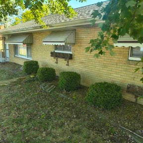 Bush Trimming by Cardona LCYA reviewed on October 18, 2025