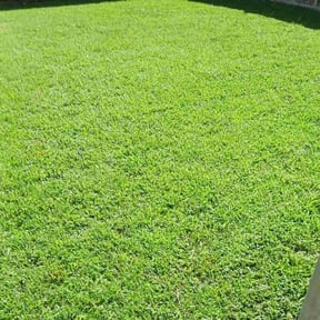 yard work by Lion's Landscaping reviewed on August 21, 2025
