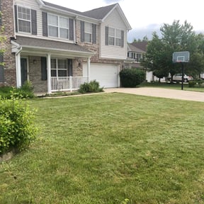 lawn care by Vexs Lawncutters reviewed on April 15, 2024