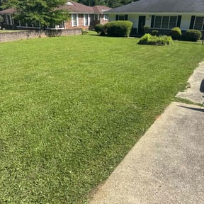 landscaping services by Sharp Cutz LLC reviewed on August 18, 2025