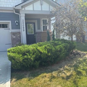 Bush Trimming by Jay's Resource reviewed on November 18, 2025