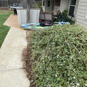Bush Trimming by PJ’s Lawn care reviewed on August 19, 2025