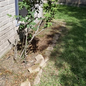 Flower Bed Weeding by OTG Services reviewed on August 16, 2025