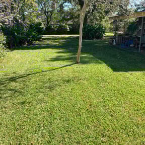 grass maintenance by After Care Express SVC Landscaping &amp; Maintenance reviewed on August 21, 2025