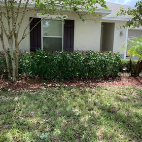 Bush Trimming by Thomas Lawn Care reviewed on August 19, 2025