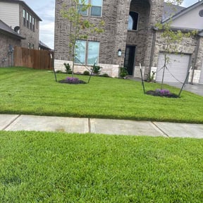 yard care by Triple "s" services reviewed on August 18, 2025