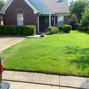 gardening service by Royal Pro Lawn Management reviewed on August 16, 2025