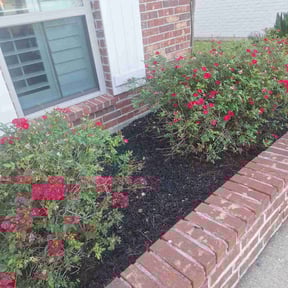 Flower Bed Weeding by Rhoyalty Lawn Care, LLC reviewed on November 22, 2025