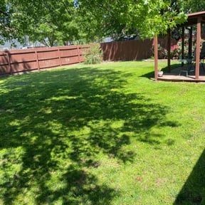 turf care by RICKYSKINNER LLC reviewed on May 13, 2024
