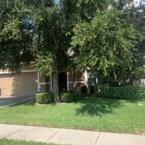 Bush Trimming by Top Notch Lawn Care &amp; Landscaping reviewed on August 16, 2025