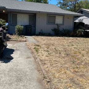 Bush Trimming by RM Landscapes reviewed on August 18, 2025