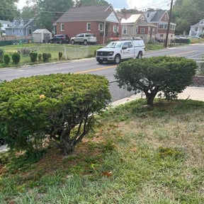 Bush Trimming by Air Assault Lawn Care reviewed on June 17, 2026