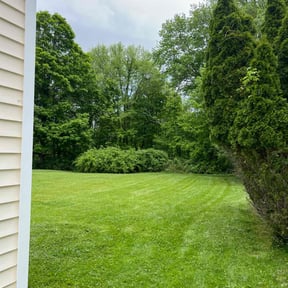 yard service by Chris Wimler reviewed on August 20, 2025