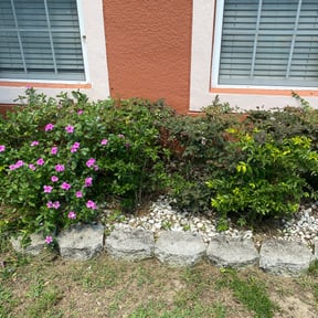 Bush Trimming by Yard Dr. LLC reviewed on August 16, 2025