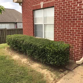 Bush Trimming by Hooper House LLC reviewed on August 20, 2025