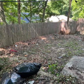 Leaf Removal by J.Allen reviewed on September 12, 2025