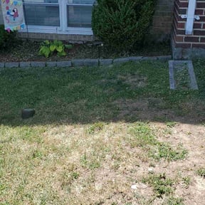 Bush Trimming by MHF Lawn Care reviewed on August 17, 2025