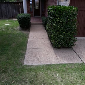Bush Trimming by Myers Landscaping & Hauling reviewed on August 17, 2025