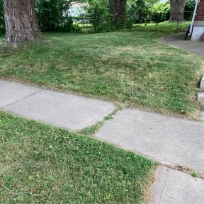 Bush Trimming by Pro Manage Solutions reviewed on September 30, 2024