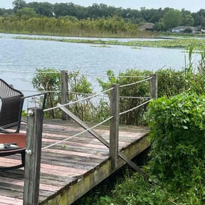 Bush Trimming by Grass stains 4 life lawn care, landscaping, snow removal, LLC reviewed on August 21, 2025