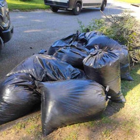 Leaf Removal by Muirwoods Lawn care reviewed on May 15, 2026