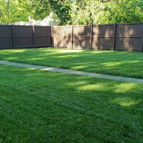 yard care by Roaring Fork Lawn Care reviewed on August 16, 2025