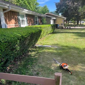 Bush Trimming by BEST Lawncare KC reviewed on June 7, 2026