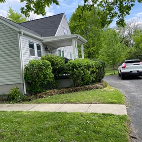 Bush Trimming by Blue Mountain Landscaping Co. (RUSHPOINT MAINTENANCE GROUP) reviewed on August 20, 2025