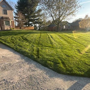 lawn service by Aero Lawns, LLC. reviewed on November 9, 2017