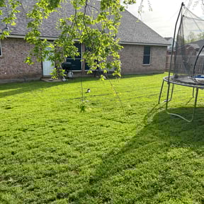 yard maintenance by Weaver Lawn Care reviewed on August 21, 2025
