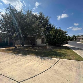 Bush Trimming by Frederickson Lawn Management reviewed on October 21, 2025