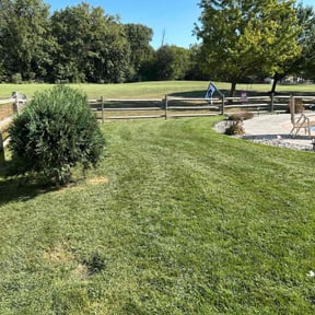 grass maintenance by Green go landscaping services reviewed on July 9, 2023