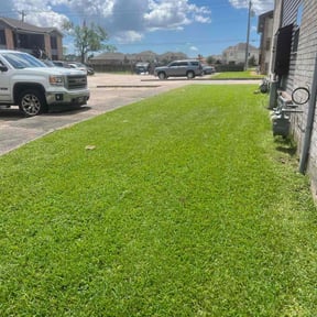 yard work by lawn services reviewed on August 16, 2025