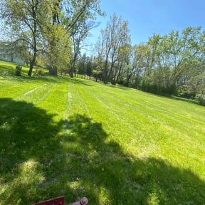 Cleanups by Grannies Mow&Snow llc reviewed on August 15, 2025