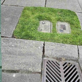 lawn care by A1 landscaping reviewed on May 20, 2025