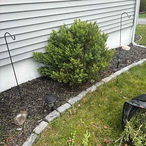 Bush Trimming by Green Earth Lawn and snow LLC reviewed on May 9, 2026