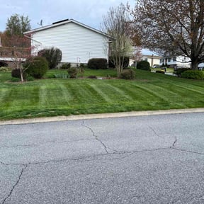 turf care by Blade2Bloom reviewed on April 15, 2024
