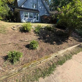 Flower Bed Weeding by Lexi's Landscaping reviewed on May 16, 2026