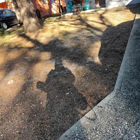 Leaf Removal by ZKZ Landscape &amp; Design reviewed on March 24, 2026