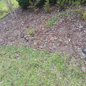 Flower Bed Weeding by Candy's Lawn &amp; Home Improvements reviewed on July 29, 2026