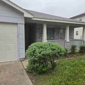 Bush Trimming by Care Free Lawn Care reviewed on May 6, 2026