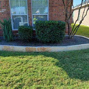 Bush Trimming by Juan Rodriguez reviewed on May 14, 2025