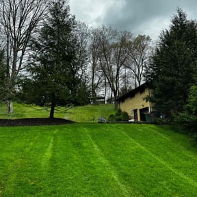 grass cutting by Fully Loaded LLC reviewed on June 29, 2025